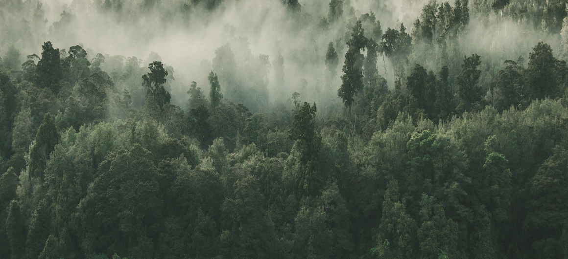 Cabecera experiencias
